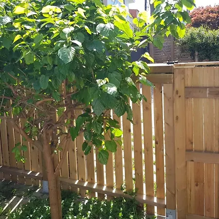 Lejlighed Casa Magda Vigo