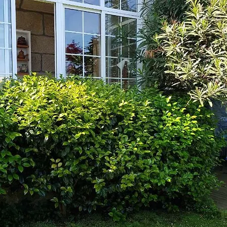 Apartamento Casa Magda