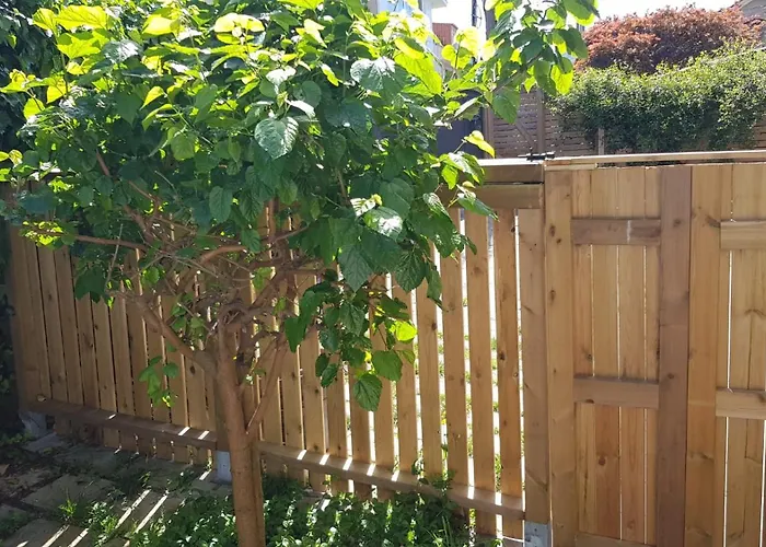 Apartmán Casa Magda Vigo