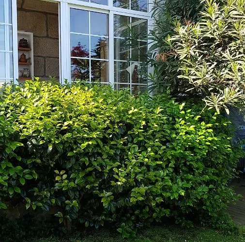 Apartmán Casa Magda